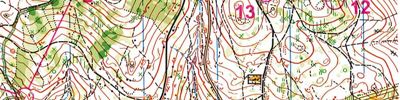 MSR stafet