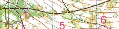 Magnus cup E1