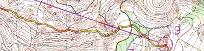 Lipica open - long